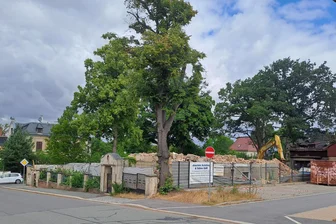 Abriss der berühmten Ulrich-Villa: Wie geht Glauchaus neue Stadtführerin damit um? - Bis auf die Grundmauern ist die berühmte Ulrich-Villa in Glauchau abgerissen.