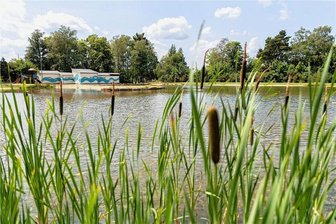 Absage im Jubiläumsjahr: Warum die Sommerlounge am ehemaligen Freibad Falkenstein nicht öffnet - Im Stadtjubiläums-Sommer abgesagt: Die Sommerlounge am ehemaligen Freibad in Falkenstein.