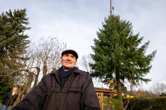 Abschied mit vielen Emotionen: Plauener Familie spendet ihre Fichte für den Weihnachtsmarkt – „sie ist mit uns zusammen alt geworden“ - Lothar Petermann hat sich die letzten Jahrzehnte gut um die etwa 50 Jahre alte Fichte gekümmert.