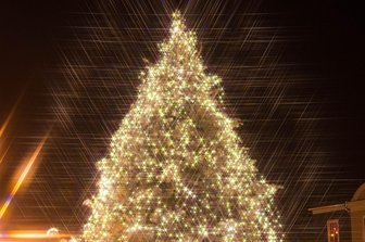 Abstimmung: Schönster Weihnachtsbaum steht in Penig - Der Peniger Weihnachtsbaum strahlt nach Meinung der "Freie Presse"-Leser in der Region am schönsten.