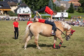 Abwechslungsreiche Pferdeschau begeistert in Großfriesen -