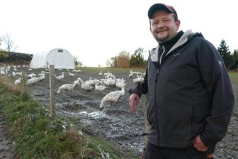 Acht Weihnachtsgänse totgebissen: Landwirt in Witzschdorf wehrt sich mit Elektrozaun - Auf diesem Gelände in Witzschdorf hält Benjamin Kirsch Gänse für den Weihnachtsverkauf. Die Wiese sichert er inzwischen mit einem Elektrozaun.