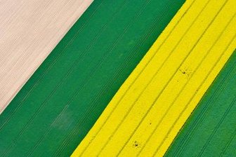 Ackerland wird teurer - 
