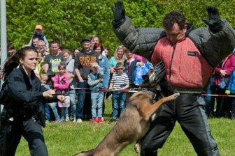 Action im Druckzentrum der "Freien Presse": Haltet den Dieb! - Viel Action bot die Vorführung der sächsischen Polizei mit ihrer Diensthundeschule. Der Respekt der Zuschauer gegenüber den schnellen Polizeihunden war fast mit den Händen zu greifen.
