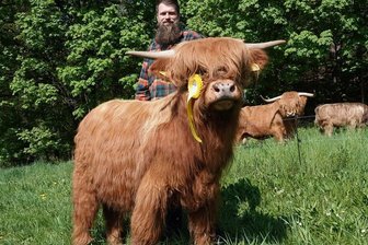 "Adliges" Hochlandrind hat langen Stammbaum - Maik Werner ist stolz auf seinen auf der Agra in Markleeberg ausgezeichneten jungen Bullen. 