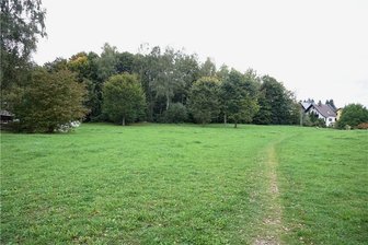Adorf lässt neues Baugebiet erschließen - Anschließend an die Straße An den Korbweiden (rechts) in Adorf soll ein Baugebiet entstehen.