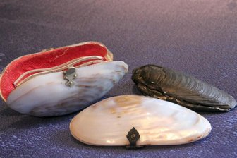 Adorf startet Sponsoren-Aktion für neues Perlmutterzentrum - Mit Perlmutt will Adorf in Zukunft noch mehr glänzen. 