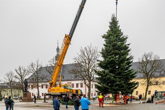 Adventszeit kann kommen: Mysteriöse Spenderin verhilft Stadt im Erzgebirge schon jetzt zu Weihnachtsbaum - Am Mittwochvormittag wurde in Marienberg bereits der Weihnachtsbaum aufgestellt. Die Blaufichte ist in Rübenau gefällt worden und kam per Tieflader in die Bergstadt. Mehrere Schaulustige verfolgten das Geschehen.