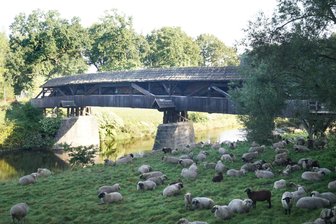 Älteste erhaltene Holzbrücke wird instandgesetzt - Mit ersten vorbereitenden Maßnahmen hat diese Woche die Instandsetzung des Röhrenstegs über die Zwickauer Mulde begonnen.