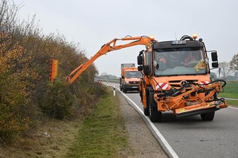 Ärger um Heckenschnitt in Wechselburger Ortsteil: Was Naturschützer sagen - Vor kurzem wurde die Hecke zwischen dem Ortsschild in Göppersdorf und der B 107 durch die Straßenmeisterei verschnitten.