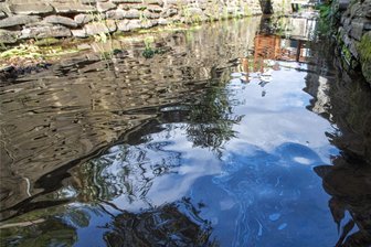 Ätzender Gestank in Plauen: Ist Benzin im Mühlgraben gelandet? - Der ölige Schmutzfilm auf dem Mühlgraben-Wasser ist mittlerweile weniger geworden.