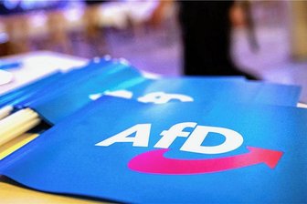 AfD-Verbot? Zwickauer Grüne bringen Thema wieder ins Gespräch - Die AfD ist im Umfragehoch. Ausgerechnet jetzt wollen die Grünen über ein Parteiverbot reden.