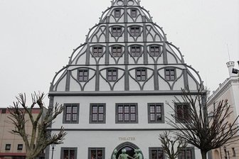 AfD will Theater Plauen-Zwickau das Gendern verbieten - Wenn es nach dem Willen der AfD ist das Gendern im Zwickauer Gewandhaus bald tabu.