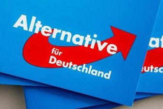 AfD zieht ohne Doppelspitze in den Wahlkampf -