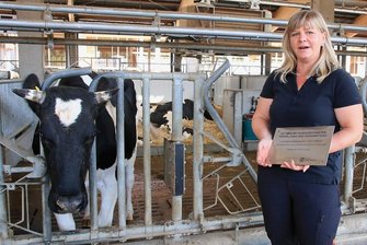 Agrarwirtschaft: Vogtländischer Biobetrieb geht neue Wege und erhält dafür eine Auszeichnung - Der Betrieb setzt bewusst auf Bullen aus behornten Zuchtlinien: Im Hofgut Eichigt tragen deshalb die Milchkühe Hörner. Auch dafür kann Herdenmanagerin Aneka Meinel die Stalltafel aufhängen.