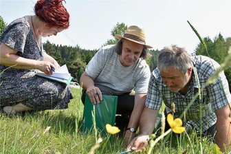 Agrarwissenschaftler: Darum gehört Weideland zum Ökosystem - Im Rahmen eines Bergwiesentages auf dem Riedelhof Eubabrunn begutachtete Gerhard Riehl (rechts) mit Harald Hertel und Katja Scheuer-Frommelt die Flächen.