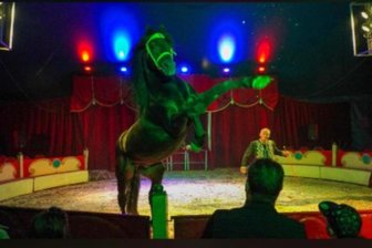 Akrobatik, Clownerie und Tierdressuren im Erzgebirge - Der Circus Romantica kommt mit Akrobatik, Clownerie und Tierdressuren nach Lauta.