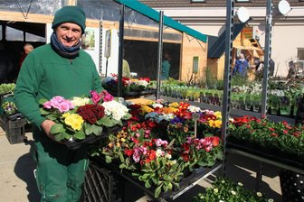 Aktion Blühendes Sachsen startet am Donnerstag in Oelsnitz - Bei Matthias Tröltzsch (Gärtnerei und Baumschule Tröltzsch Oelsnitz) startet die Aktion Blühendes Sachsen.