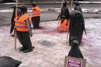 Aktion rund um die Chemnitzer Pinguine sorgt für Aufsehen - 