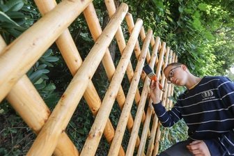 Aktionstag in Kita, Firma und auf Friedhof - Siebtklässler Philipp Scheer streicht ein erneuertes Zaunstück mit Leinölfirnis auf dem Waldfriedhof in Burgstädt. 