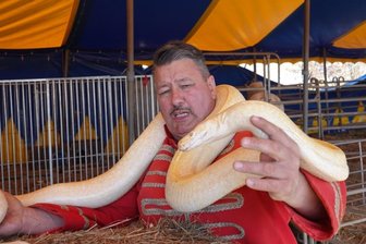 Albino-Python "Würgi" hatte einen guten Tag - Zirkusdirektor Karl-Heinz Köllner mit der Albino-Python. 