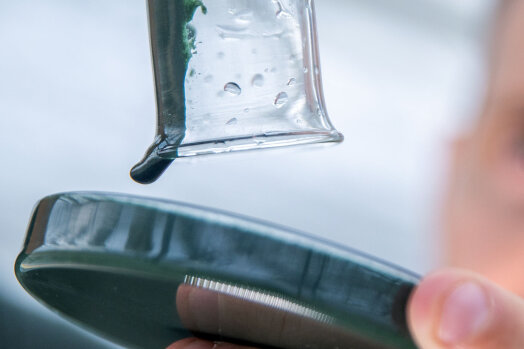 Algenzuchtanlage in Pöhl geplant - Eine Masse aus Spirulina-Blaualgen wird für weitere Untersuchungen in ein Glasgefäß gefüllt.