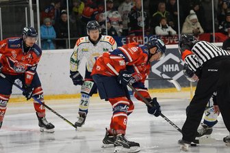 Alles für den Titel: Eishockey-Wölfe verpflichten Allrounder mit Bundesligaerfahrung - Die Schönheider Wölfe genießen am Sonnabend Heimvorteil gegen Niesky.