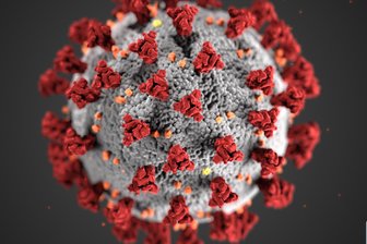 Alles, was Sie jetzt über das Coronavirus wissen müssen - Das Coronavirus in einer Grafik des Centers for Disease Control and Prevention (CDC).