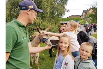 Alpakas und Lamas begeistern bei Hoffest im Vogtland: Nur der Tierarzt muss in Deckung gehen - Lama Anton wird von Gästen umgarnt - und hält still, wenn Nick Mosig (links) Müsli reicht.