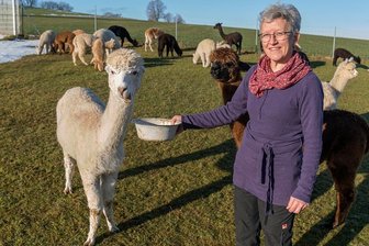 Alpakazüchter im Erzgebirge fürchten Wolfsrisse - Pia Schindler züchtet seit 20 Jahren Alpakas auf ihren Weiden in Lengefeld. Sie würde gern noch mehr für den Schutz ihrer Tiere vor Wolfsrissen tun. Doch das gestaltet sich schwierig.