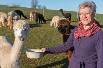 Alpakazüchter in der Region fürchten Wolfsrisse - Pia Schindler züchtet seit 20 Jahren Alpakas auf ihren Weiden in Lengefeld. Sie würde gern noch mehr für den Schutz ihrer Tiere vor Wolfsrissen tun. Doch das gestaltet sich schwierig.