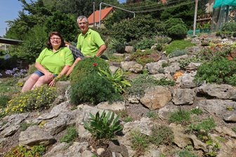 Alpines Biotop mitten in der Stadt - Susanne und Jürgen Lohr in ihrem Steingarten in Hohenstein-Ernstthal, wo sie mehr als 800 verschiedene Pflanzenarten pflegen. 