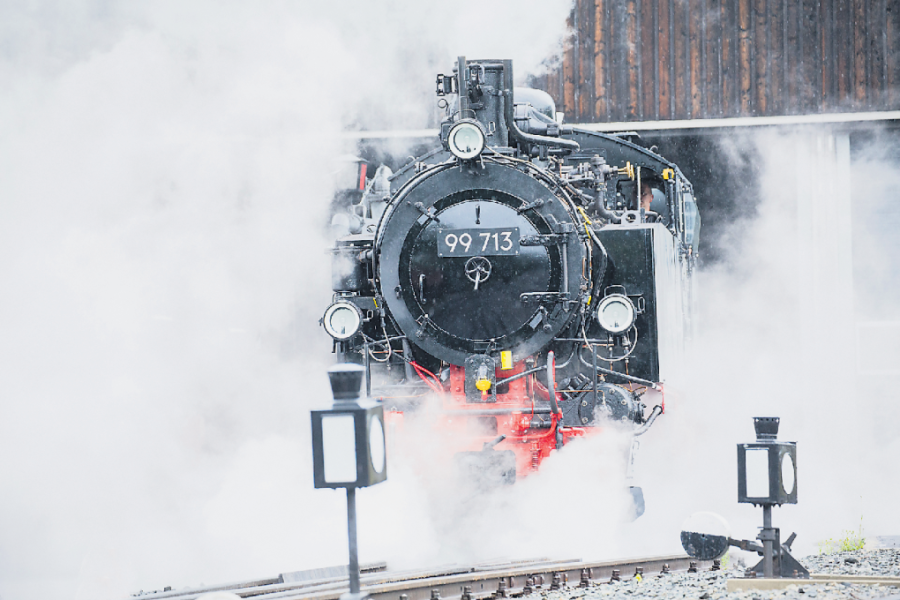 Als das Dampfross an die Mulde kam - Die Dampflokomotive steht als Symbol für die Bedeutung des Eisenbahnverkehrs. 