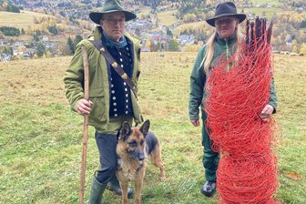 Als Schäfer im Wolf-Revier Vogtland: „Wir klopfen auf Holz, wenn wir mit den Herden wieder im Stall sind“ - Enrico und Nadine Adler - im Bild mit Wolfszaun - hüten gemeinsam mit sechs ausgebildeten Hunden 650 Schafe auf den Bergen rund um Klingenthal.