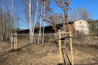 Alter Güterbahnhof stört Kulisse im fast fertigen Chemnitzer Pleißenbachpark - Neue Bäume und Sträucher auf der einen Seite im Pleißenbachpark, ein verfallener Güterbahnhof auf der anderen Seite. Dieser Anblick wird vorerst so bleiben.