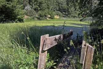 Alter Löschteich in Glauchau stinkt Anwohnern zum Himmel - Der ehemalige Feuerlöschteich an der Voigtlaider Straße in Wernsdorf ist einem schlechten Zustand.