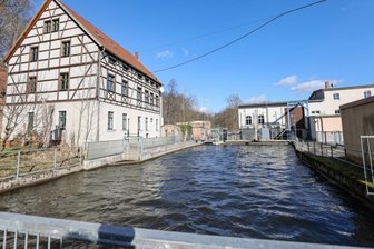 Am Braunsdorfer Wehr schleicht sich der Frühling an -