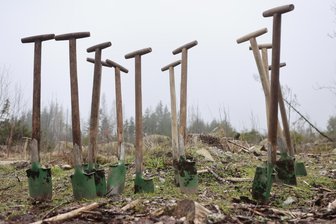 Am Buß- und Bettag: Baumpflanzaktion in Reichenbach - Der Gewerbeverein Rechenbach lädt für den Buß- und Bettag zur Baumpflanzaktion ein.