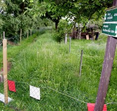 Wanderweg 