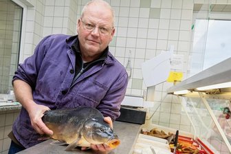 Am Jahresende kommt Karpfen auf den Tisch -