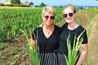Am Kreisel: Blumen zum Selbstpflücken - 