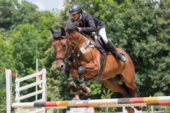Am Park geht's erneut hoch her - 