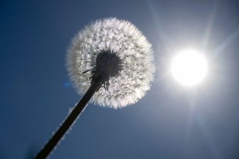 Am Wochenende bis zu 30 Grad in Mitteldeutschland - Am Wochenende gibt es in Sachsen, Sachsen-Anhalt und Thüringen einen Vorgeschmack auf den Hochsommer. Laut dem Deutschen Wetterdienst sind bis zu 30 Grad möglich. (Archivbild)