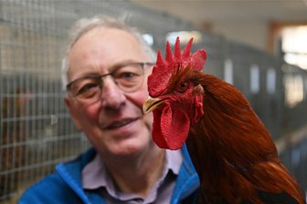 Am Wochenende kräht der Hahn in Erlau: Sonderschau für Welsumer - Wolfgang Ahnert mit einem Welsumer rost-rebhuhnfarbig.