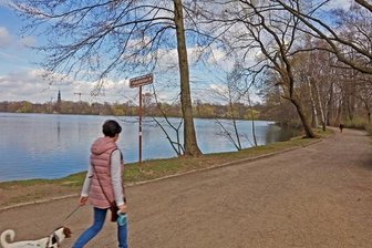 Am Zwickauer Schwanenteich sollen bald wieder Gärten nach historischem Vorbild blühen - Blicka auf Zwickauer Schwanenteich
