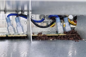 Ameisen legen in Waldenburg Internet lahm - Die Ameisen haben den Verteilerkasten der Telekom in Altweinhölzchen lahmgelegt.
