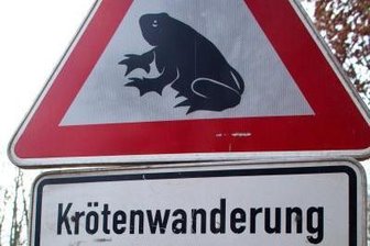 Amphibienschutz: Krötenzäune werden schon aufgebaut -