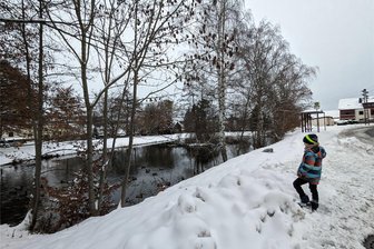 An Teich in Neuwürschnitz soll Spielplatz entstehen - Der Viehweger-Teich in Neuwürschnitz soll saniert werden.