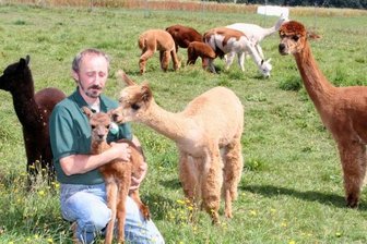 Andentiere aus Langenbernsdorf helfen bei Stressabbau - Gerd Schittko hält den jüngsten Bewohner des Hofes liebevoll im Arm. Das kleine Alpaka erblickte erst vergangene Woche das Licht der Welt.