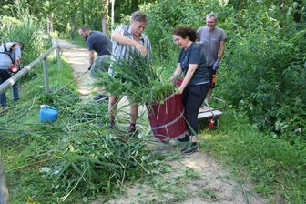 Angler machen klar Schiff am Hofteich in Crimmitschau - Bei einem Arbeitseinsatz am Crimmitschauer Hofteich haben die Angler Schilf verschnitten.